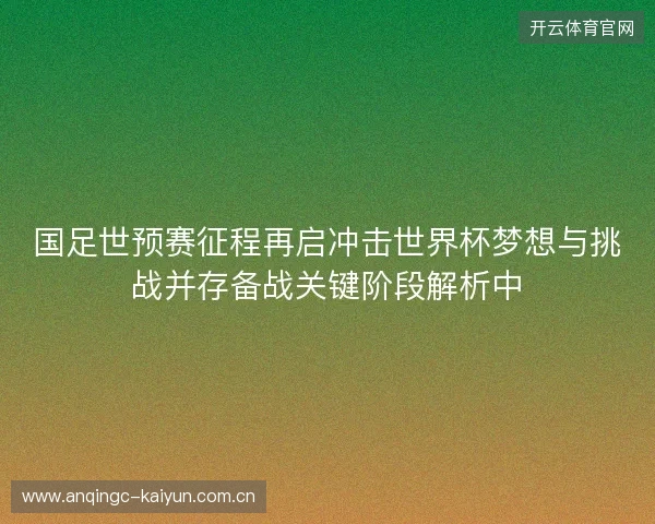 国足世预赛征程再启冲击世界杯梦想与挑战并存备战关键阶段解析中 国足世预赛征程再启冲击世界杯梦想与挑战并存备战关键阶段解析中